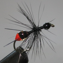 ���� Ant flies �������  ANT 014 (FLUORESCENT  Black Red tag EPOXY) Kumho dry � 12